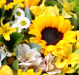 Ramo de 3 Girasoles, 3 rosas amarillas y Gerbera