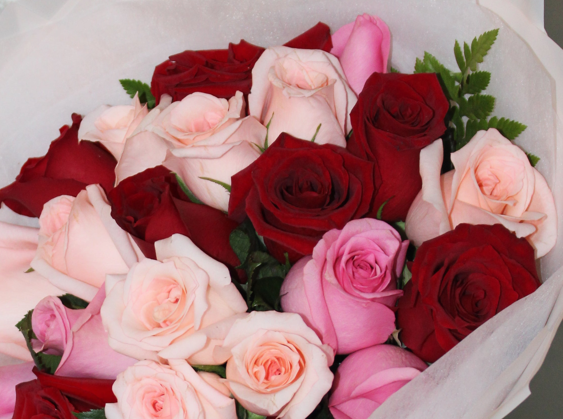 Ramo Suspiro de Amor - 24 rosas mixtas