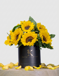 Box de 10 Girasoles Cód. BN10G