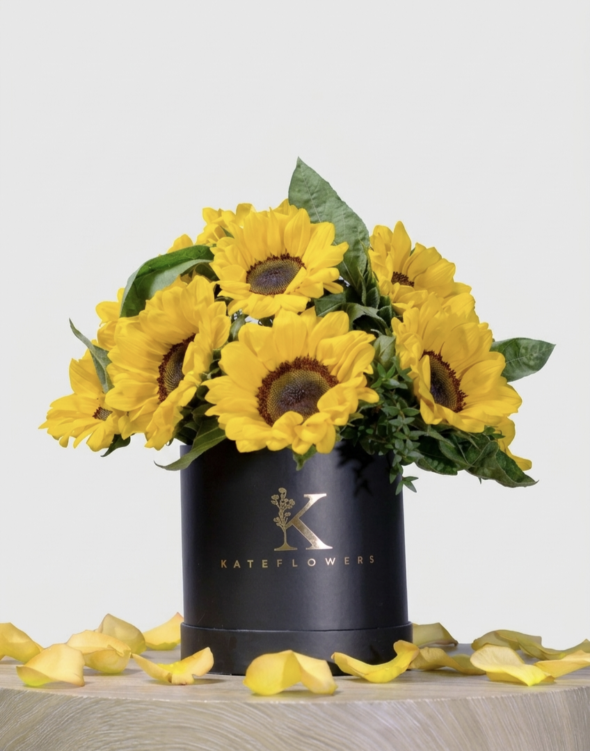 Box de 10 Girasoles Cód. BN10G