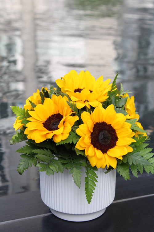 Arreglo floral de girasoles en maceta de cerámica