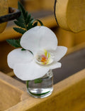 Boutonnière de Orquídea Blanca
