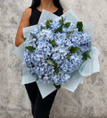 Ramo Bienvenida de 12 hortensias celestes