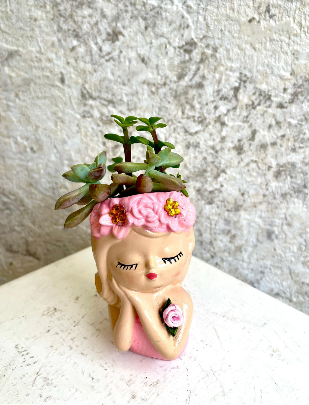 Suculenta Soñadora Rosa Pequeña  Cód. SSRP01