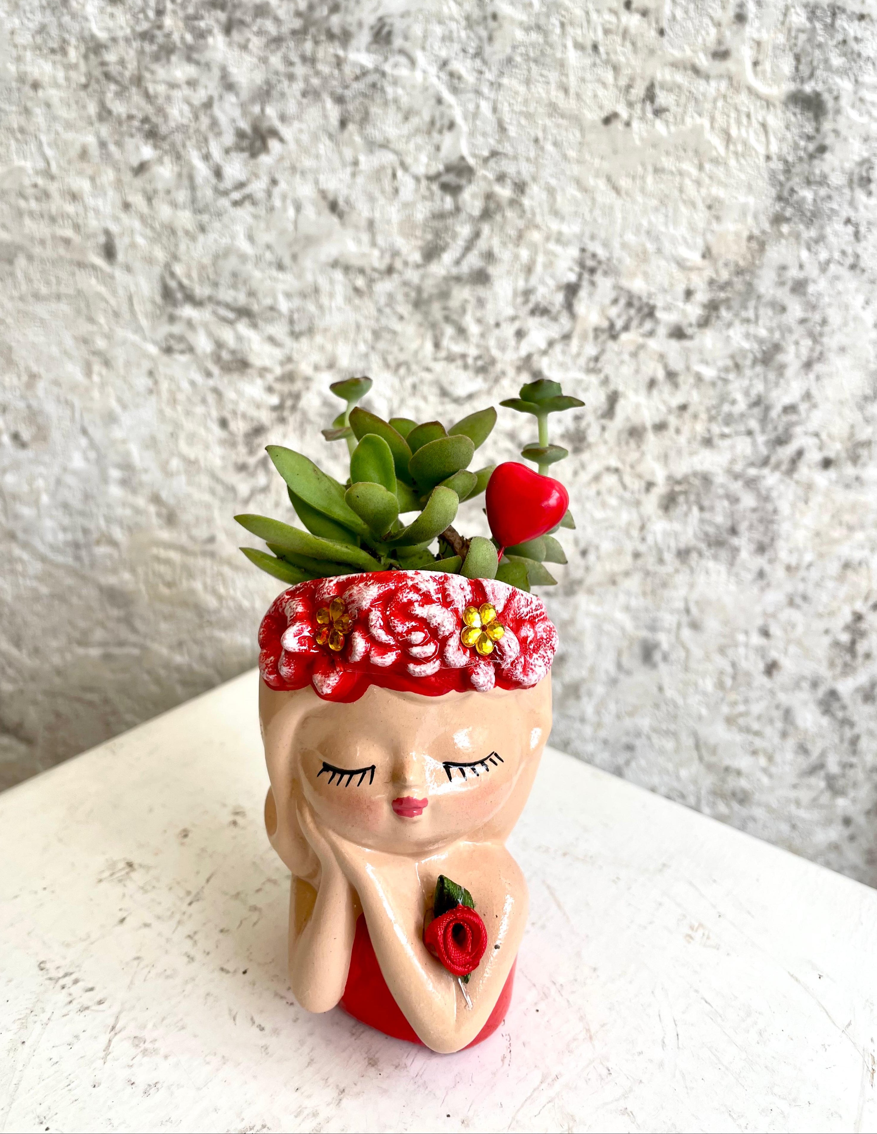 Suculenta Soñadora Roja Pequeña Cód. SSRP02