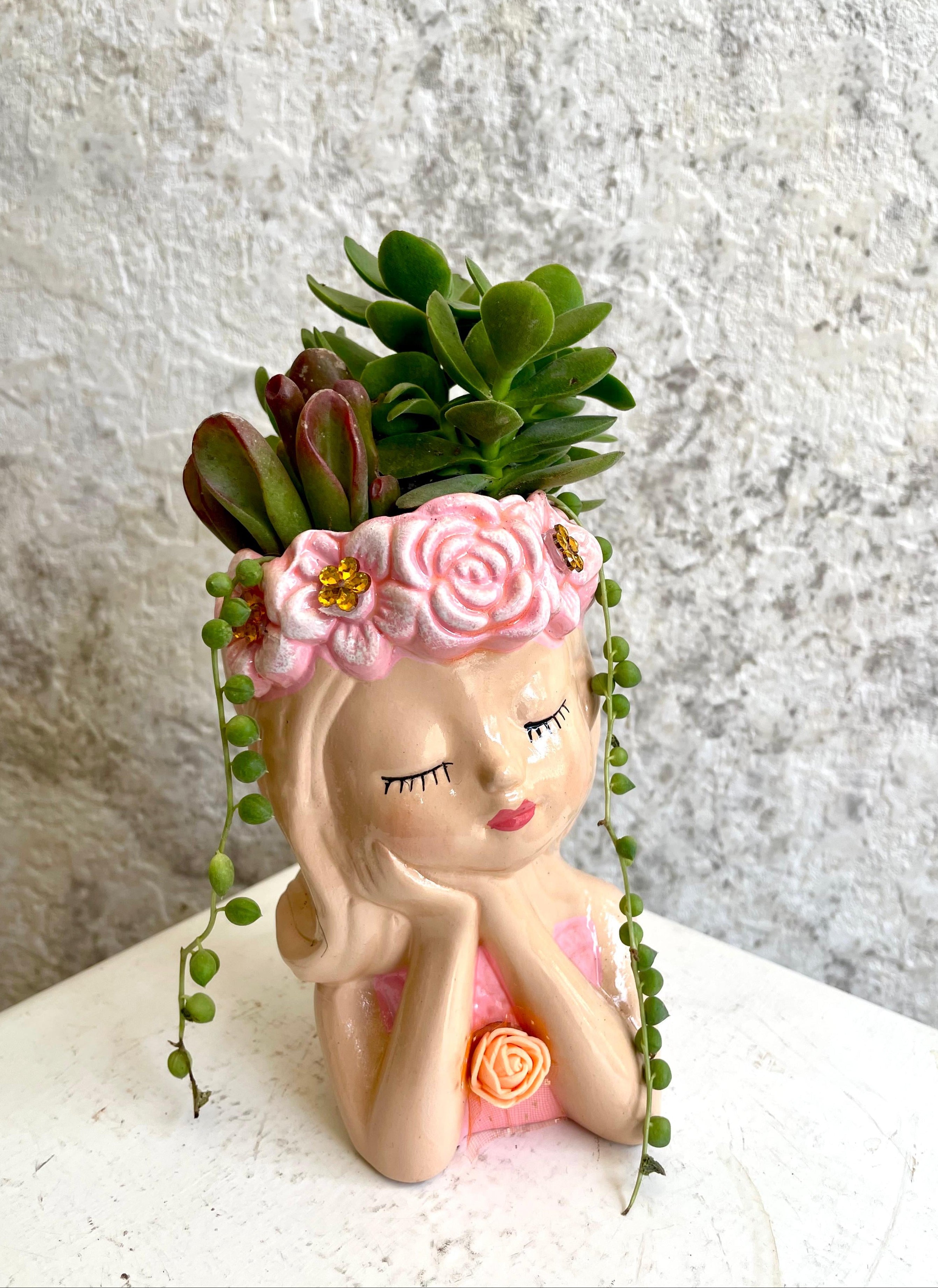 Suculentas Soñadora Rosa Cód. SSP02