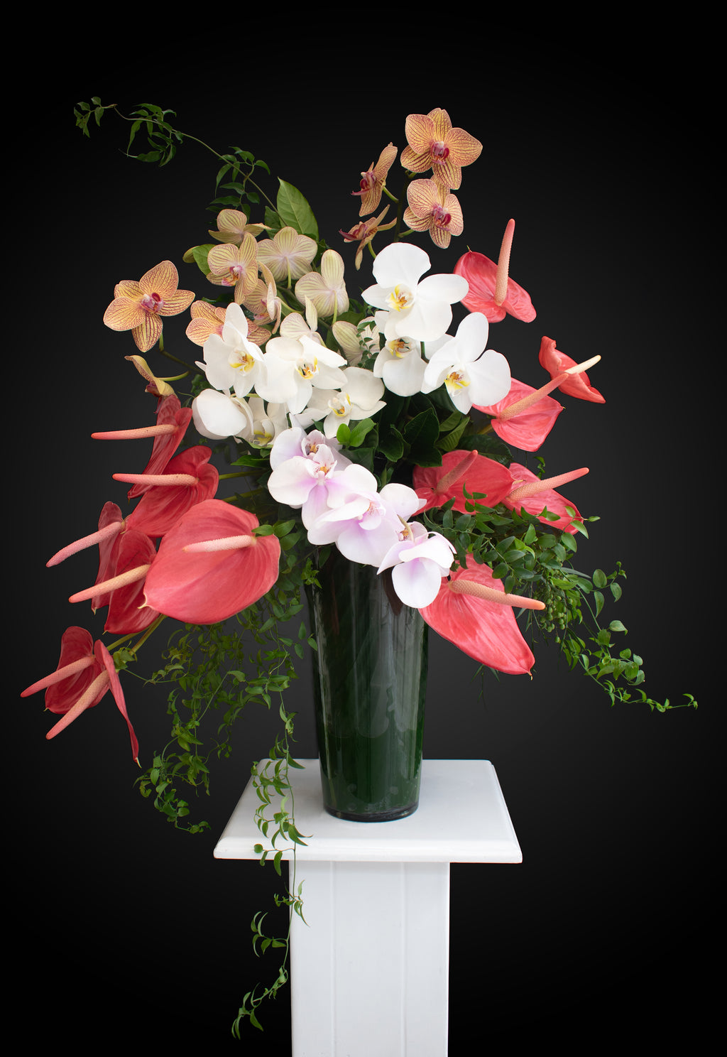 Arreglo Floral Premiun de Orquìdes y Anturios