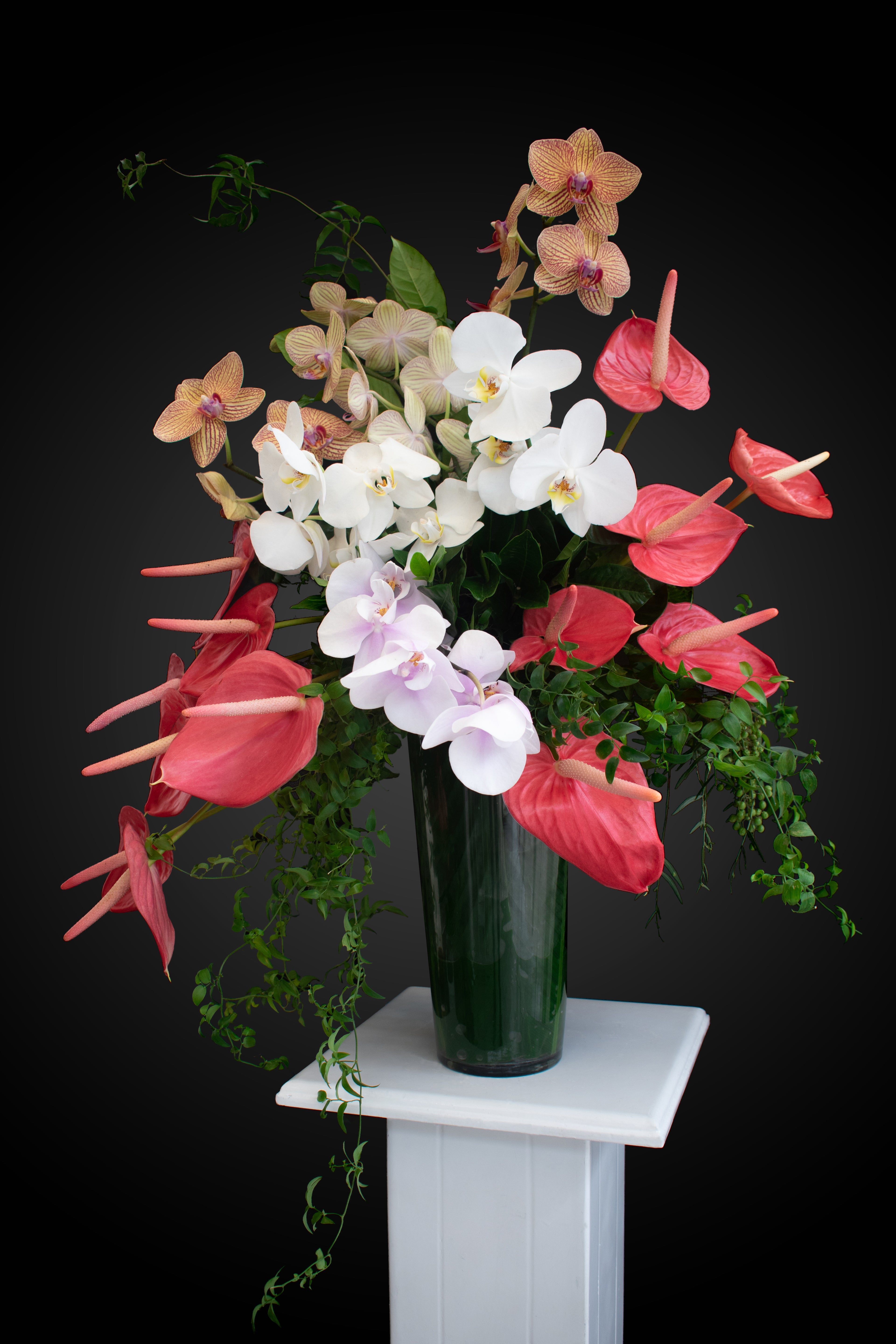 Arreglo floral premiun de Orquìdes y Anturios