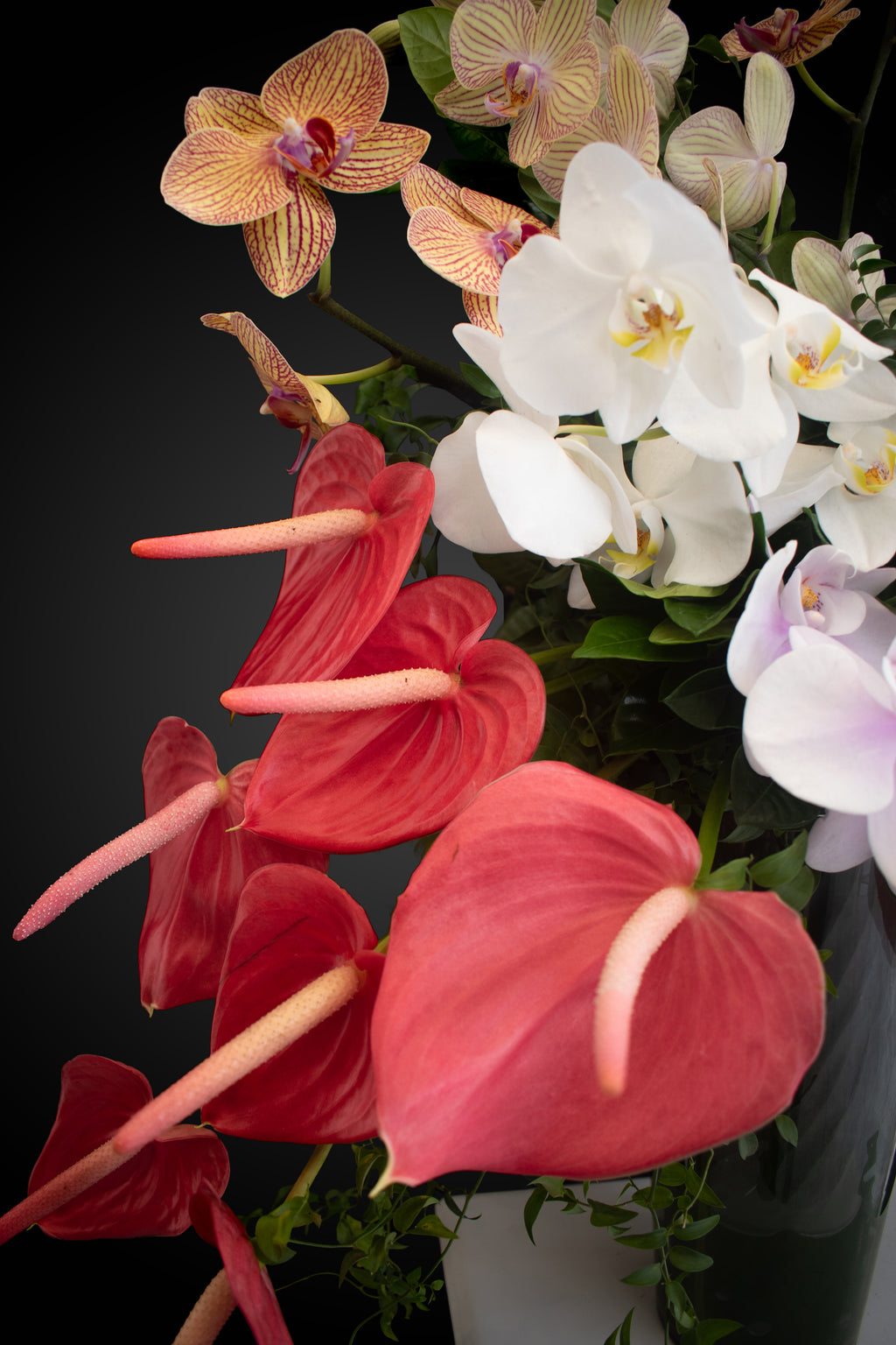 Arreglo Floral Premiun de Orquìdes y Anturios